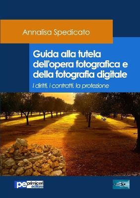 Guida alla tutela dell'opera fotografica e della fotografia digitale. I diritti, i contratti, la protezione - Annalisa Spedicato - Libro Primiceri Editore 2017 | Libraccio.it