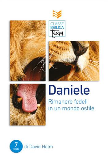 Daniele: rimanere fedeli in un mondo ostile  - Libro ADI Media 2019, Classe biblica team | Libraccio.it