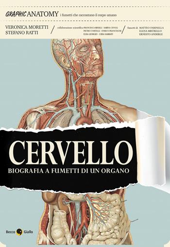 Cervello. Biografia a fumetti di un organo - Veronica Moretti, Stefano Ratti - Libro Becco Giallo 2026, Graphic anatomy | Libraccio.it