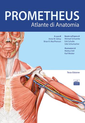 Prometheus. Altante di anatomia - Anne M. Gilroy, Brian R. MacPherson, Lawrence M. Ross - Libro Edises 2019 | Libraccio.it