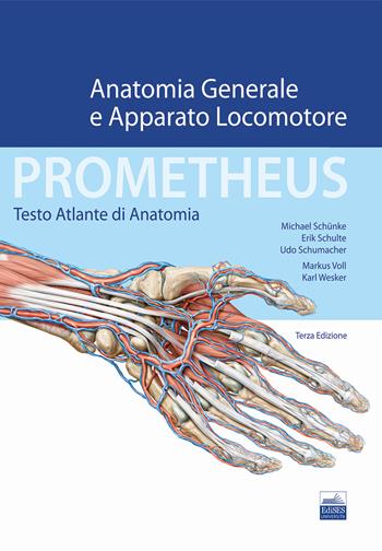 Prometheus. Testo atlante di anatonomia. Anatomia generale e apparato locomotore - Michael Schünke, Erik Schulte, Udo Schumacher - Libro Edises 2019 | Libraccio.it