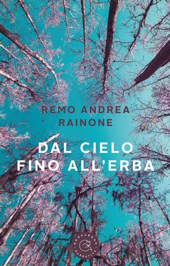 Dal cielo fino all'erba - Remo Andrea Rainone - Libro bookabook 2019 | Libraccio.it