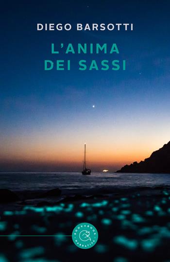 L' anima dei sassi - Diego Barsotti - Libro bookabook 2021, Narrativa | Libraccio.it