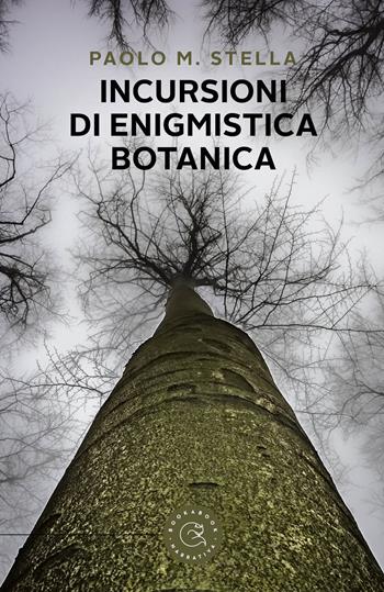 Incursioni di enigmistica botanica - Paolo M. Stella - Libro bookabook 2021, Narrativa | Libraccio.it