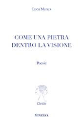 Come una pietra dentro la visione