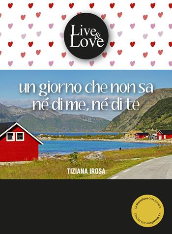 Un giorno che non sa né di me, né di te - Tiziana Irosa - Libro Le Mezzelane Casa Editrice 2019, Live&Love | Libraccio.it