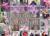 Il Salento e le orchidee