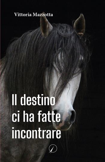 Il destino ci ha fatte incontrare - Vittoria Mazzotta - Libro Altromondo Editore di qu.bi Me 2024 | Libraccio.it