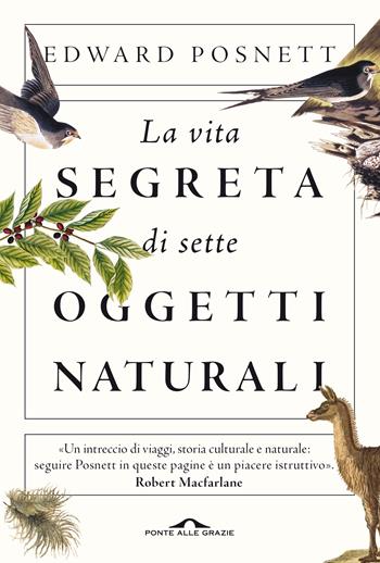 La vita segreta di sette oggetti naturali - Edward Posnett - Libro Ponte alle Grazie 2021, Saggi | Libraccio.it