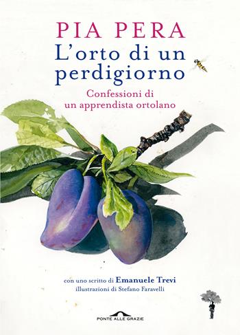 L'orto di un perdigiorno. Confessioni di un apprendista ortolano - Pia Pera - Libro Ponte alle Grazie 2021, Fuori collana | Libraccio.it