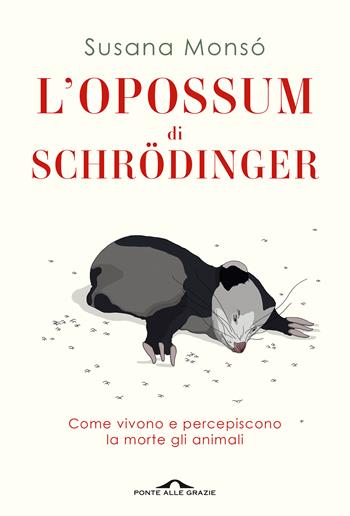 L' opossum di Schrödinger. Come vivono e percepiscono la morte gli animali - Susana Monsó - Libro Ponte alle Grazie 2022, Saggi | Libraccio.it