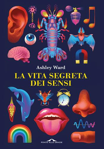 La vita segreta dei sensi - Ashley Ward - Libro Ponte alle Grazie 2023, Saggi | Libraccio.it