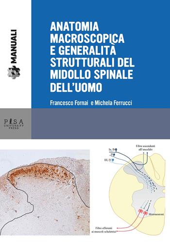 Anatomia macroscopica e generalità strutturali del midollo spinale dell'uomo - Francesco Fornai, Michela Ferrucci - Libro Pisa University Press 2018, Manuali | Libraccio.it