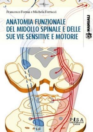 Anatomia funzionale del midollo spinale e delle sue vie sensitive e motorie - Francesco Fornai, Michela Ferrucci - Libro Pisa University Press 2020, Manuali | Libraccio.it