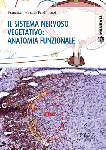 Il sistema nervoso vegetativo: anatomia funzionale - Francesco Fornai, Paola Lenzi - Libro Pisa University Press 2020, Manuali | Libraccio.it