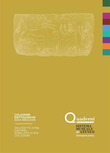 Dall'Egitto a Pisa. Gaetano Rosellini e le sue collezioni - Flora Silvano - Libro Pisa University Press 2022 | Libraccio.it