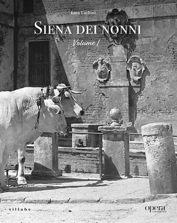 Siena dei nonni. Vol. 1 - Luca Luchini - Libro Sillabe 2024 | Libraccio.it
