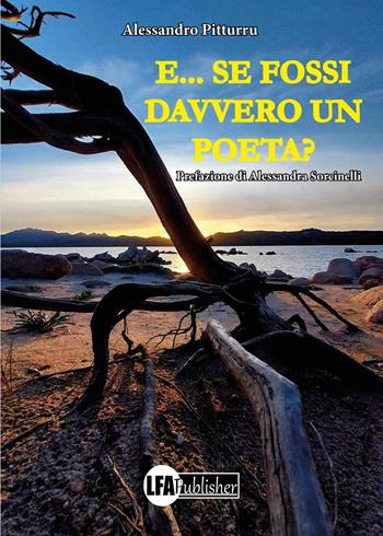 E... se fossi davvero un poeta? - Alessandro Pitturru - Libro LFA Publisher 2024 | Libraccio.it