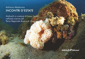 Incontri d'estate: molluschi e crostacei di basso fondo nell'area marina del Parco Riviera di Ulisse - Adriano Madonna - Libro Ali Ribelli Edizioni 2022 | Libraccio.it