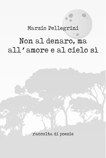 Non al denaro, ma all'amore e al cielo sì - Marzio Pellegrini - Libro Arpeggio Libero 2019 | Libraccio.it