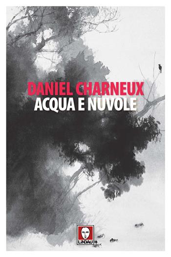 Acqua e nuvole - Daniel Charneux - Libro Lindau 2020, Senza frontiere | Libraccio.it