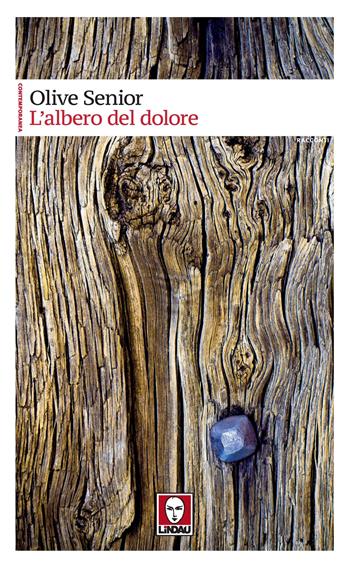 L' albero del dolore - Olive Senior - Libro Lindau 2022, Contemporanea | Libraccio.it