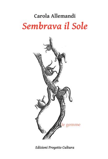 Sembrava il Sole - Carola Allemandi - Libro Progetto Cultura 2022, Le gemme | Libraccio.it