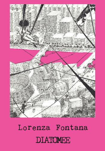 Diatomee - Lorenza Fontana - Libro Progetto Cultura 2024, In bilico sui versi | Libraccio.it