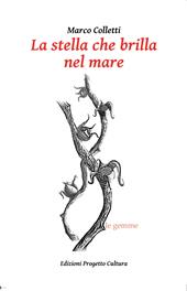 La stella che brilla nel mare