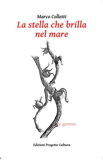 La stella che brilla nel mare - Marco Colletti - Libro Progetto Cultura 2025, Le gemme | Libraccio.it