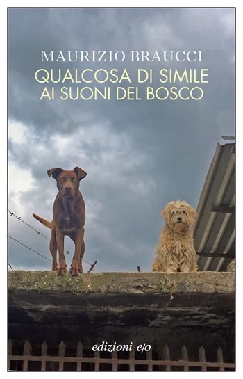 Qualcosa di simile ai suoni del bosco - Maurizio Braucci - Libro E/O 2023, Dal mondo | Libraccio.it