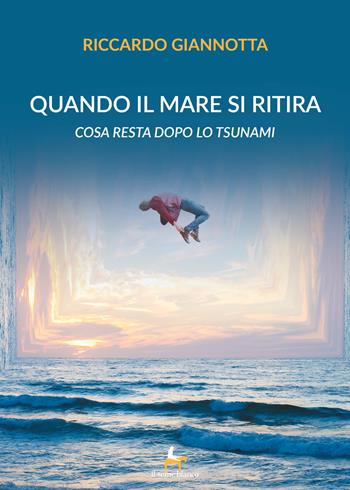 Quando il mare si ritira. Cosa resta dopo lo tsunami - Riccardo Giannotta - Libro Il Seme Bianco 2018, Giglio | Libraccio.it