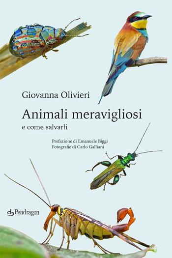Animali meravigliosi e come salvarli - Giovanna Olivieri - Libro Edizioni Pendragon 2024, Varia | Libraccio.it