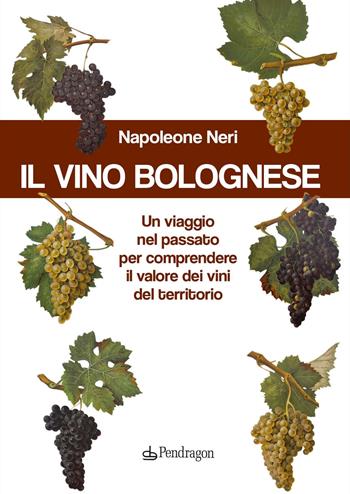 Il vino bolognese. Un viaggio nel passato per comprendere il valore dei vini del territorio - Napoleone Neri - Libro Edizioni Pendragon 2024, Amo Bologna | Libraccio.it