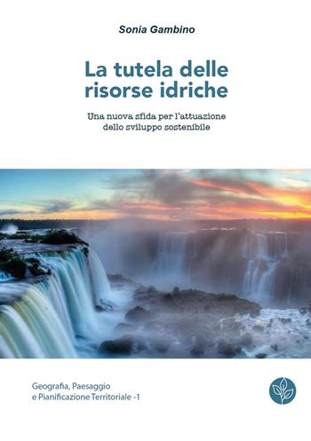 La tutela delle risorse idriche. Una nuova sfida per l'attuazione dello sviluppo sostenibile - Sonia Gambino - Libro Universitas Studiorum 2018, Geografia, paesaggio e pianificazione territoriale | Libraccio.it