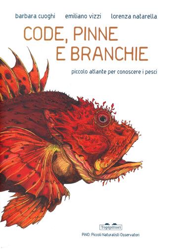 Code, pinne e branchie. Piccolo atlante per conoscere i pesci - Barbara Cuoghi, Emiliano Vizzi - Libro TopiPittori 2022, PiNO. Piccoli naturalisti osservatori | Libraccio.it