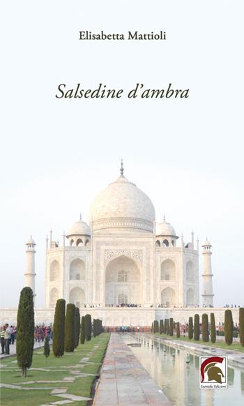 Salsedine d’ambra - Elisabetta Mattioli - Libro Leonida 2025, Poesia | Libraccio.it