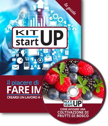 Come avviare una coltivazione di frutti di bosco. Con CD-ROM - Daniela Montefinale, Maria Luisa Morasso - Libro Incubatore Creaimpresa 2018, Kit start up | Libraccio.it