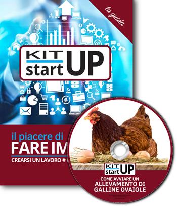 Come avviare un allevamento biologico all'aperto di galline ovaiole. Con aggiornamento 2018. Con CD-ROM  - Libro Incubatore Creaimpresa 2018, Kit start up | Libraccio.it