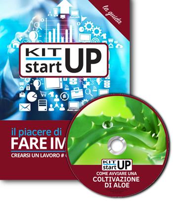 Come avvivare una coltivazione di aloe. Con aggiornamento 2018. Con CD-ROM  - Libro Incubatore Creaimpresa 2018, Kit start up | Libraccio.it
