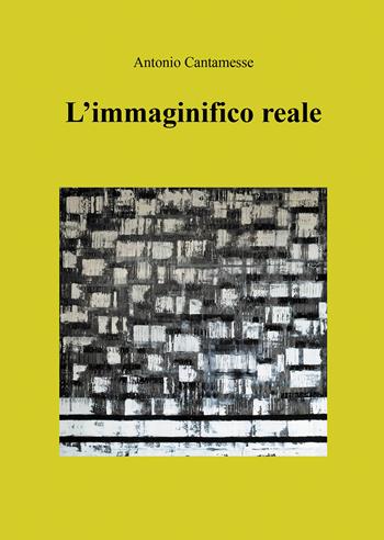L' immaginifico reale - Antonio Cantamesse - Libro Passione Scrittore selfpublishing 2021 | Libraccio.it