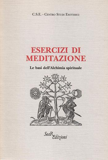 Esercizi di meditazione. Le basi dell'Alchimia spirituale  - Libro Futura Libri 1991 | Libraccio.it