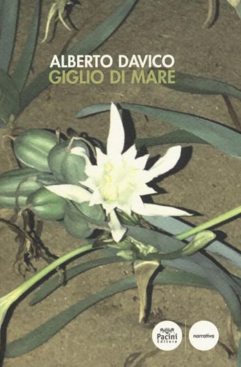 Giglio di mare - Alberto Davico - Libro Pacini Editore 2019, Narrativa | Libraccio.it