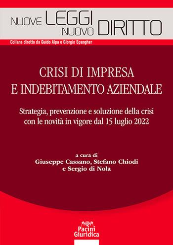 Crisi di impresa e indebitamento aziendale - Cassano, Chiodi, Nola - Libro Pacini Giuridica 2022 | Libraccio.it