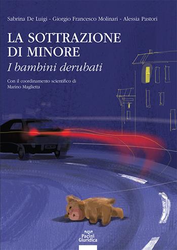 La sottrazione di minore. I bambini derubati - Sabrina De Luigi, Giorgio Francesco Molinari, Alessia Pastori - Libro Pacini Giuridica 2025, Diritto | Libraccio.it