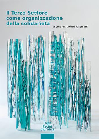Il terzo settore come organizzazione della solidarietà  - Libro Pacini Giuridica 2025, Diritto | Libraccio.it