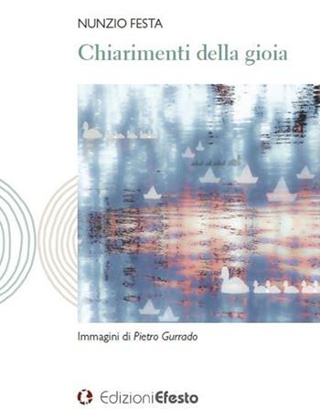 Chiarimenti della gioia - Nunzio Festa, Pietro Gurrado - Libro Edizioni Efesto 2021, Parerga | Libraccio.it
