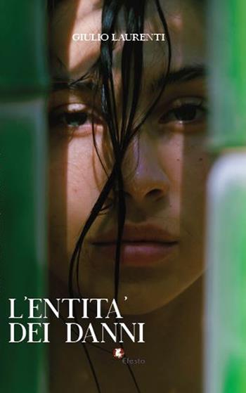 L'entità dei danni - Giulio Laurenti - Libro Edizioni Efesto 2023, Parerga | Libraccio.it