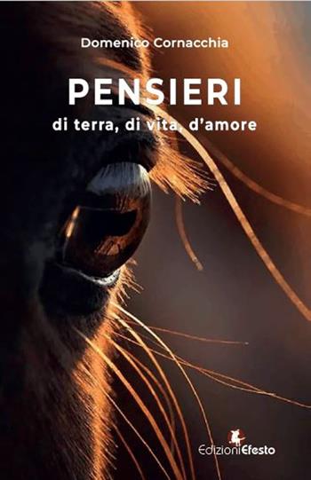 Pensieri. Di terra, di vita, d'amore - Domenico Cornacchia - Libro Edizioni Efesto 2023, Parerga | Libraccio.it