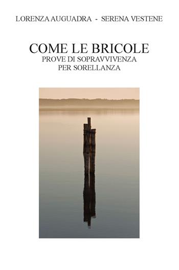 Come le bricole. Prove di sopravvivenza per sorellanza. Ediz. illustrata - Lorenza Auguadra, Serena Vestene - Libro CTL (Livorno) 2022 | Libraccio.it